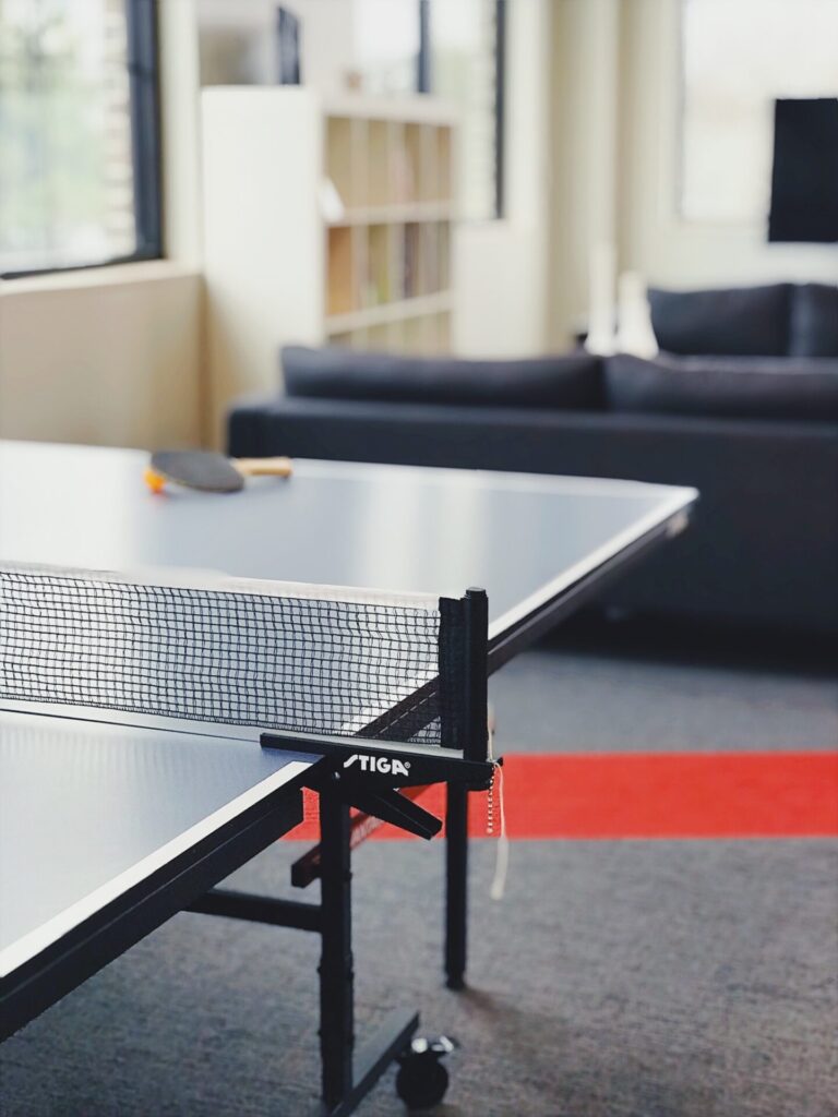 Best Foldable and Portable Ping Pong Table Prices: Reviews And Buying Guide