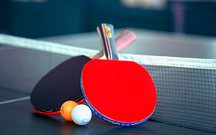 Best Top Rated, Unique and Great  Ping Pong Paddles in 2024: A Comprehensive Reviews and Guide