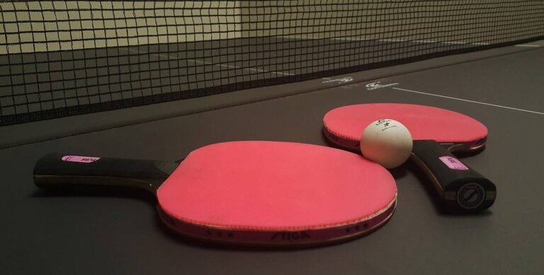 Best Stiga’s Ping Pong Paddles Prices on Amazon
